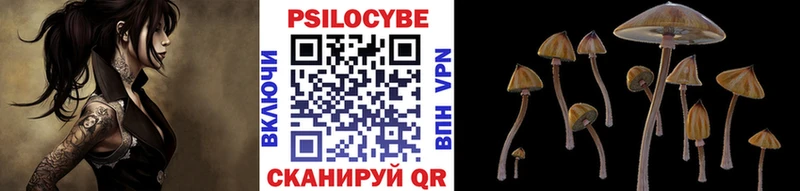 цены наркотик Железноводск Галлюциногенные грибы Cubensis